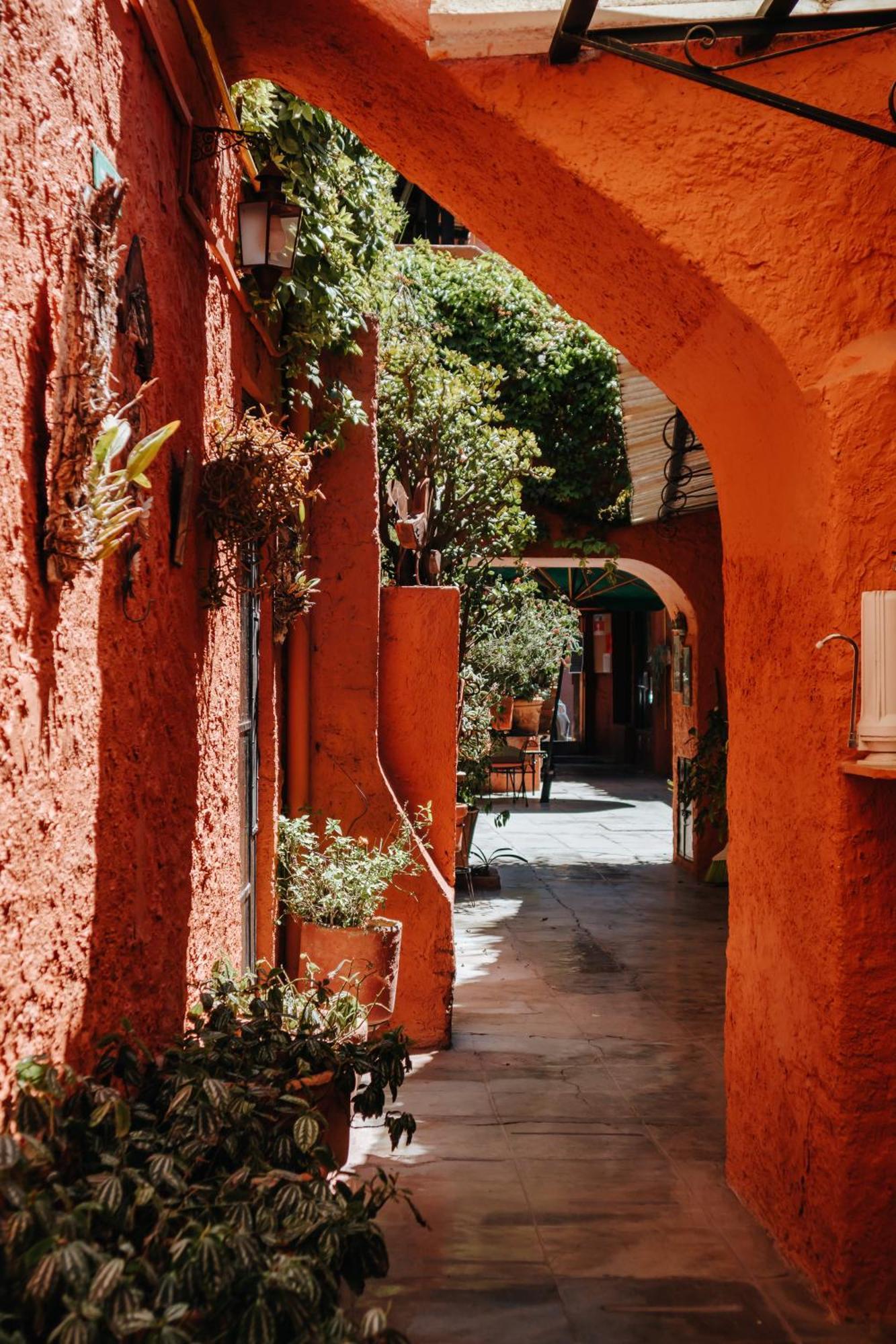 Mansion Del Bosque Hotel San Miguel de Allende Exterior photo